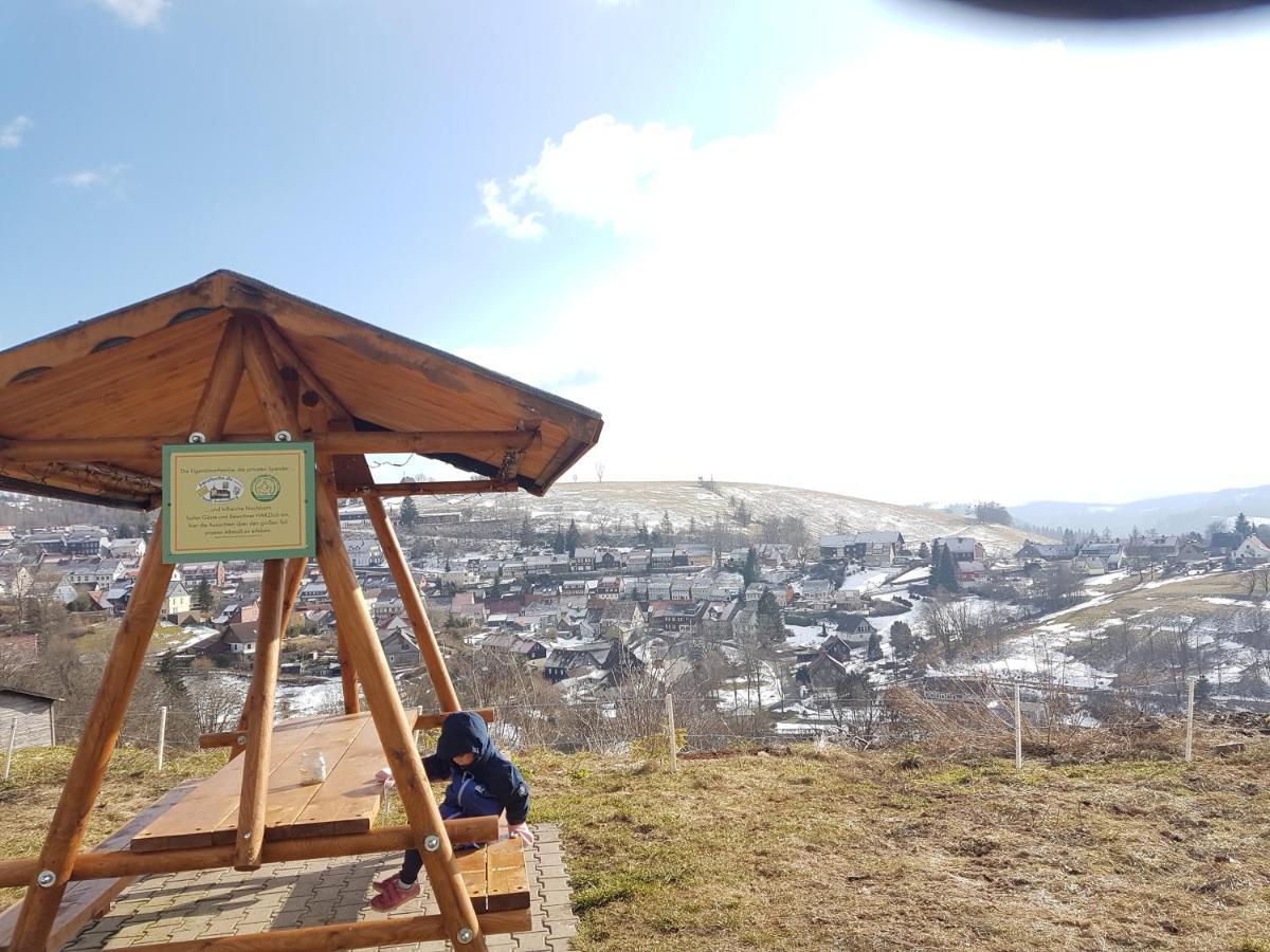 Unik Villa Sankt Andreasberg Dış mekan fotoğraf